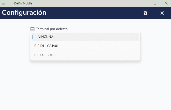Terminal por defecto